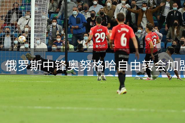 俄罗斯中锋奥努格哈自由转会加盟俄超新军罗迪纳