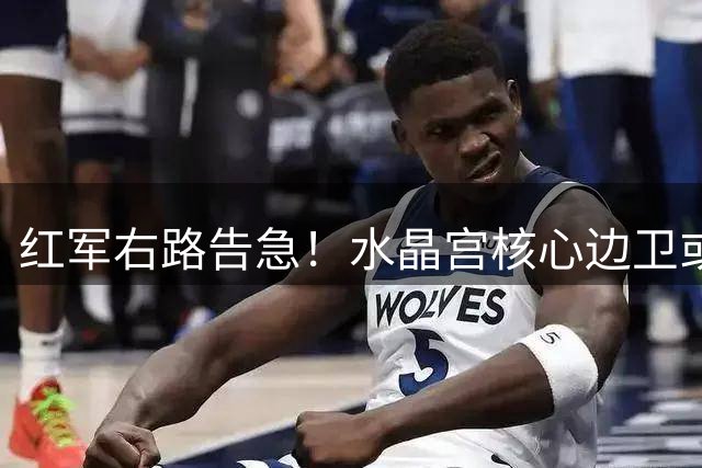 红军右路告急！水晶宫核心边卫或成利物浦救命稻草
